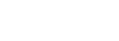Wiselyst